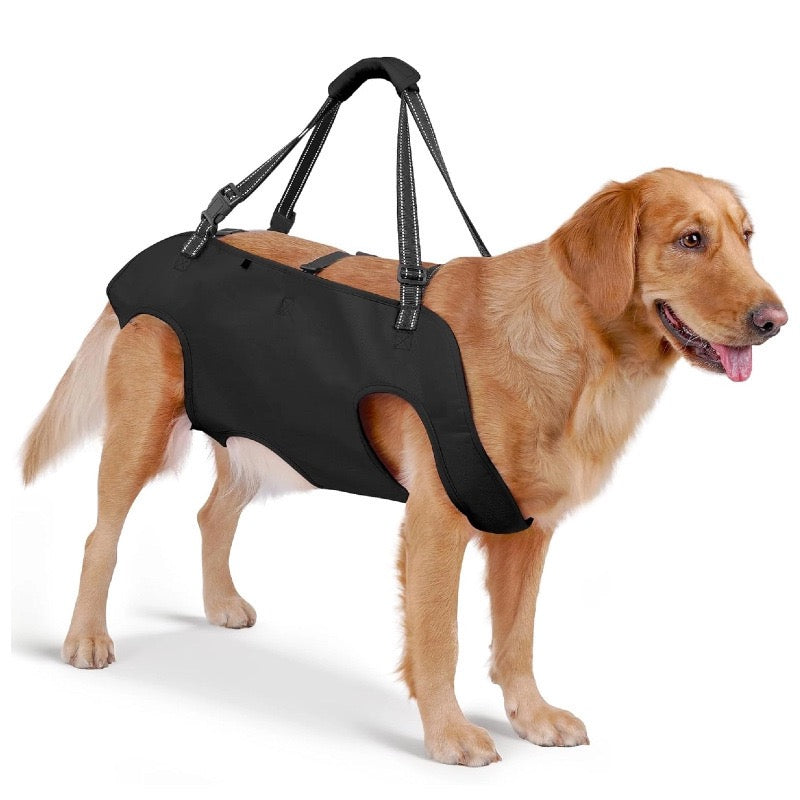 Soporte para perros ancianos o problemas articulares (Modelo 006)