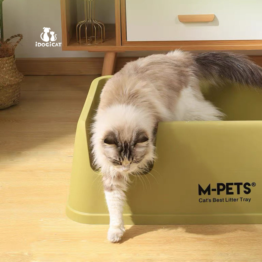 Arenero abierto grande M-pets 80*42*25cm