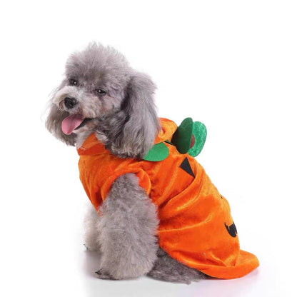 Disfraz de calabaza para mascotas modelo SDZ24