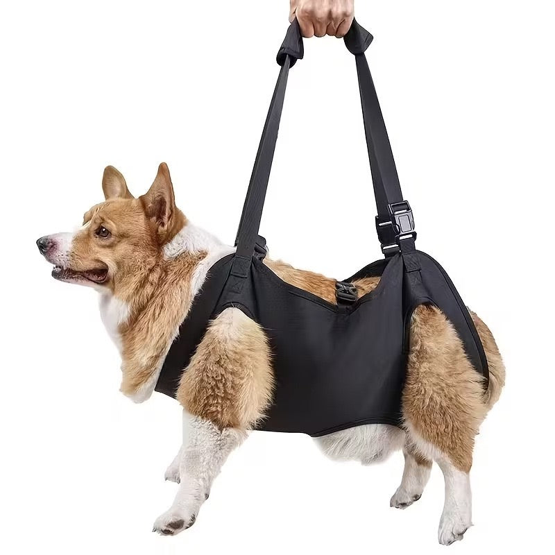Soporte para perros ancianos o problemas articulares (Modelo 006)
