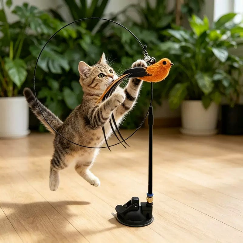 Cañita con ventosa para gatos