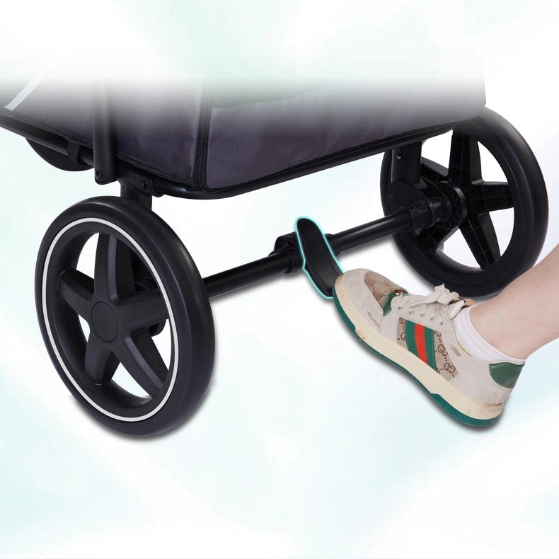Coche plegable para mascotas grandes (Soporta hasta 60kg)