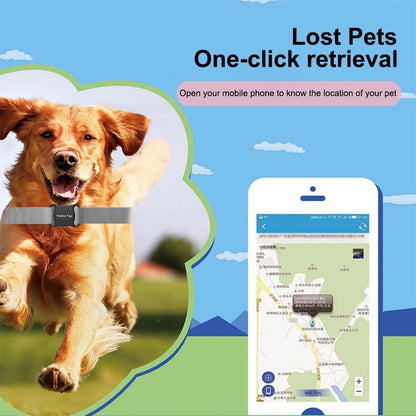 Localizador para mascotas con app (incluye collar) Android & IOS