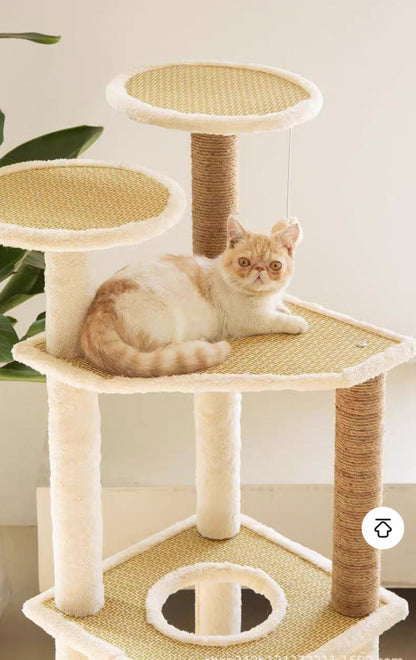 Torre para gatos (Modelo MT25)