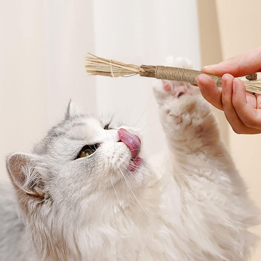 Palitos de Raffia, juguete pata Gato