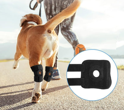 Soporte corto para pierna trasera para perro