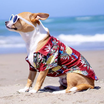 Ropa para perros de Estilo Hawaiano #24