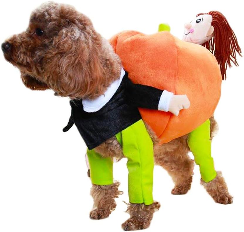 Disfraz halloween calabaza para mascotas