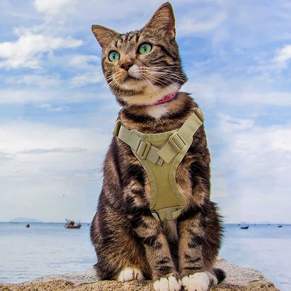 Pechera táctica para mascotas pequeñas