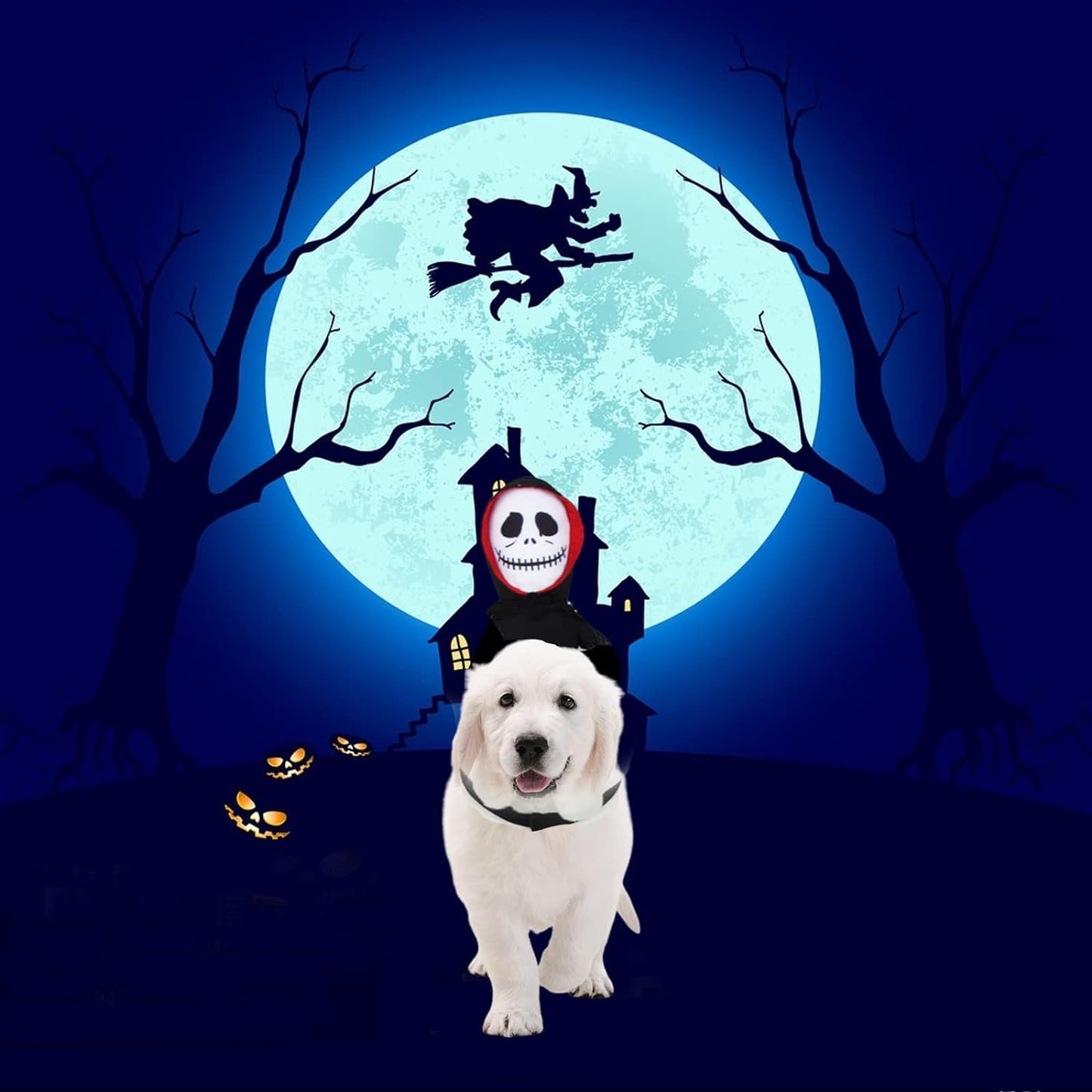 Disfraz Halloween Fantasma negro para mascotas
