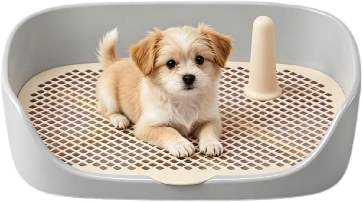 Inodoro para perros pequeños o cachorros modelo FT20 gris