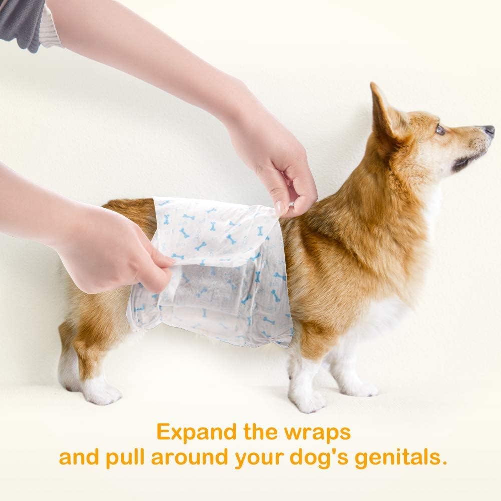 Pañales desechables para perros machos