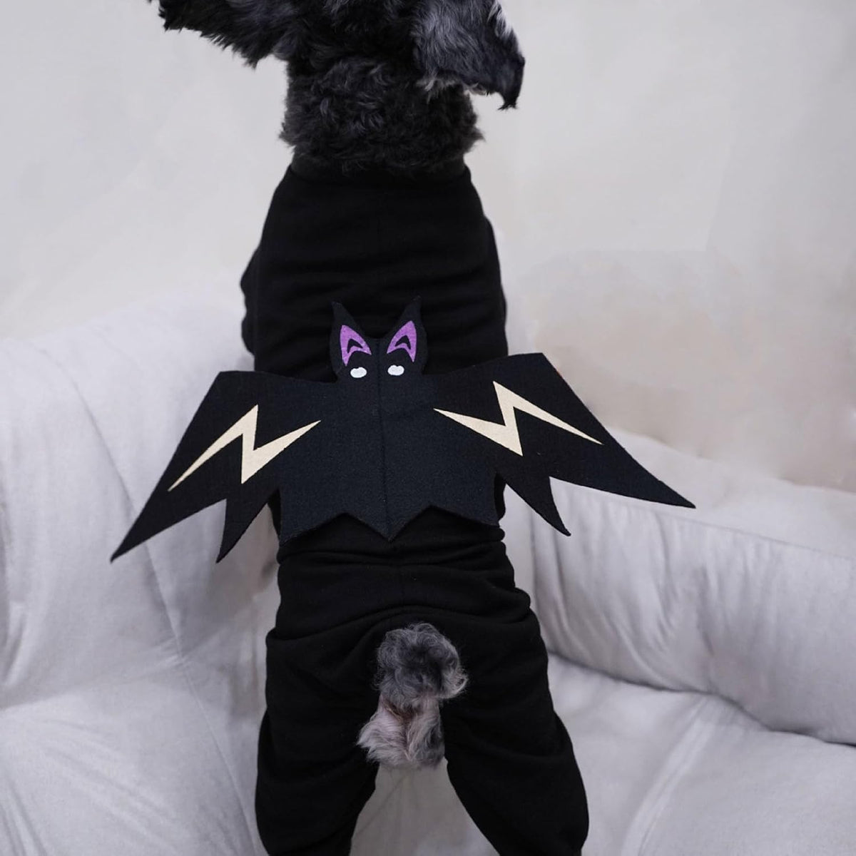 Disfraz de murciélago para mascotas