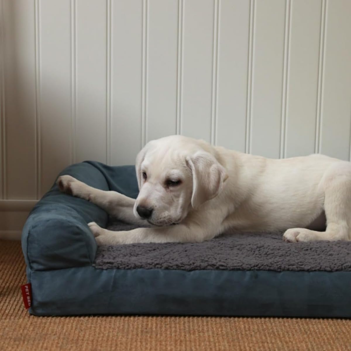 Cama sofá lavable para mascotas