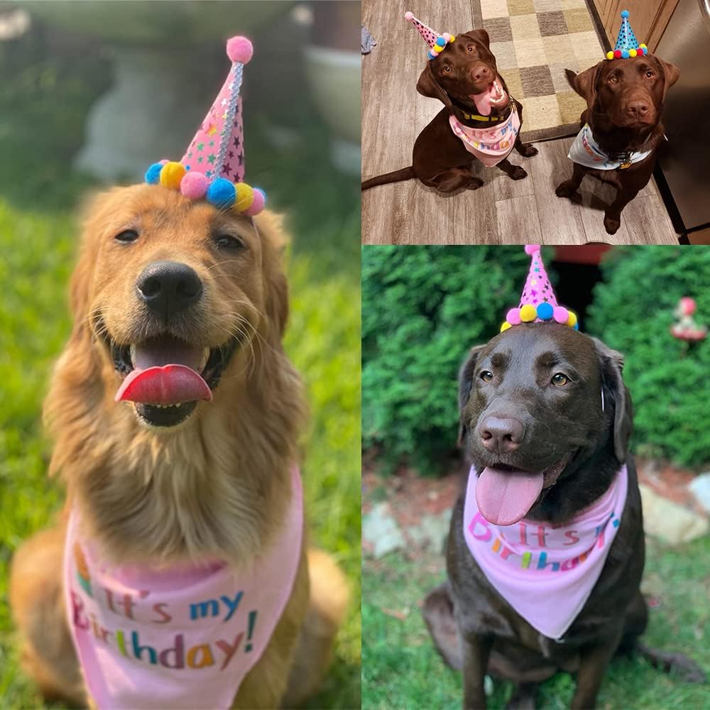 Sombrero de cumpleaños para mascotas