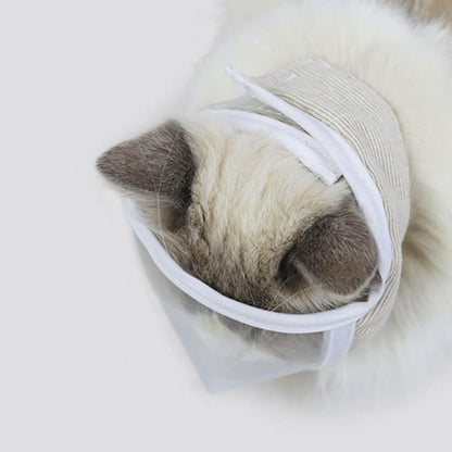Bozal transparente para gatos pequeños