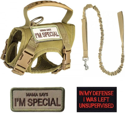 Pechera táctica para perros pequeños