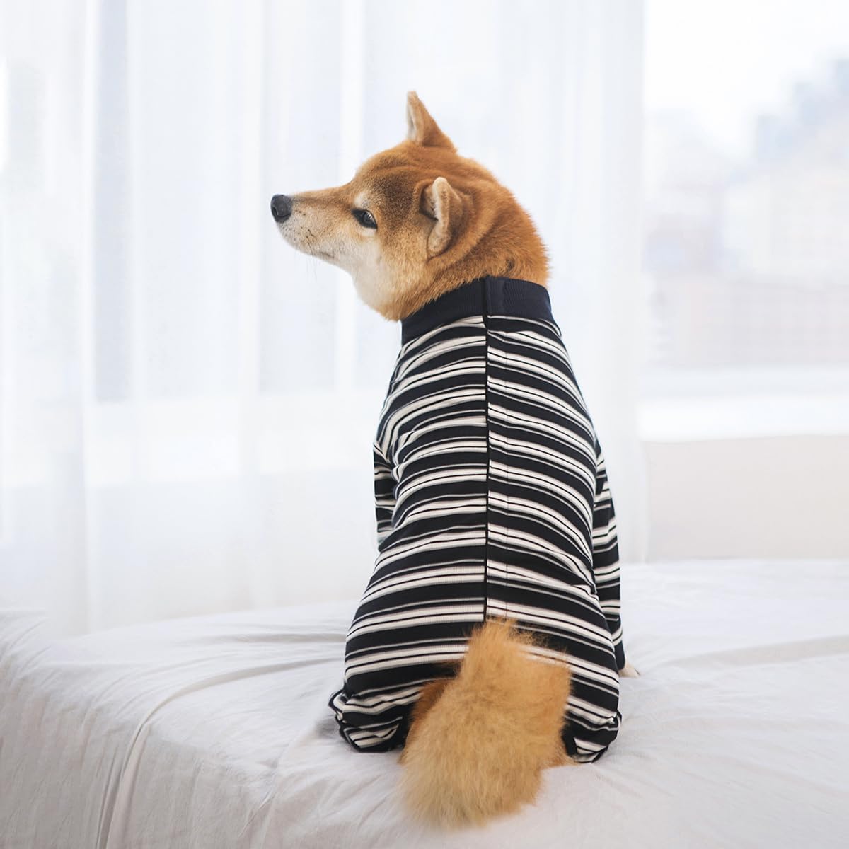 Traje post operatorio de mangas largas para perros medianos y grandes
