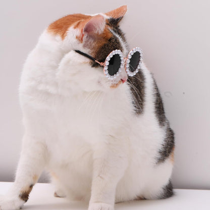 Lentes de sol con perlas para mascotas