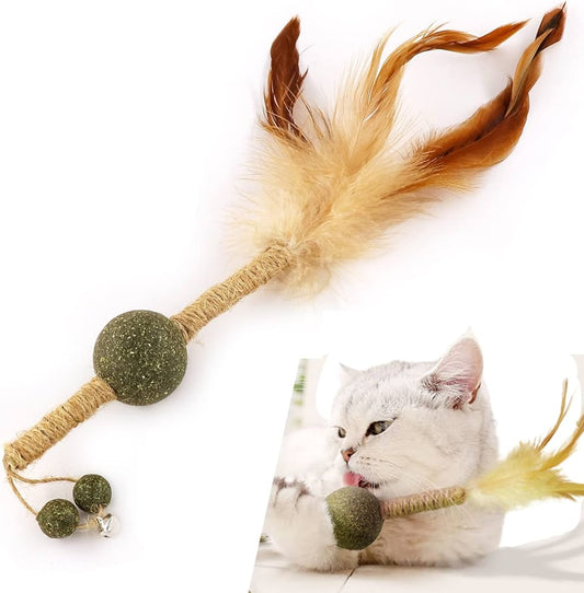 Catnip de juguete para gatos