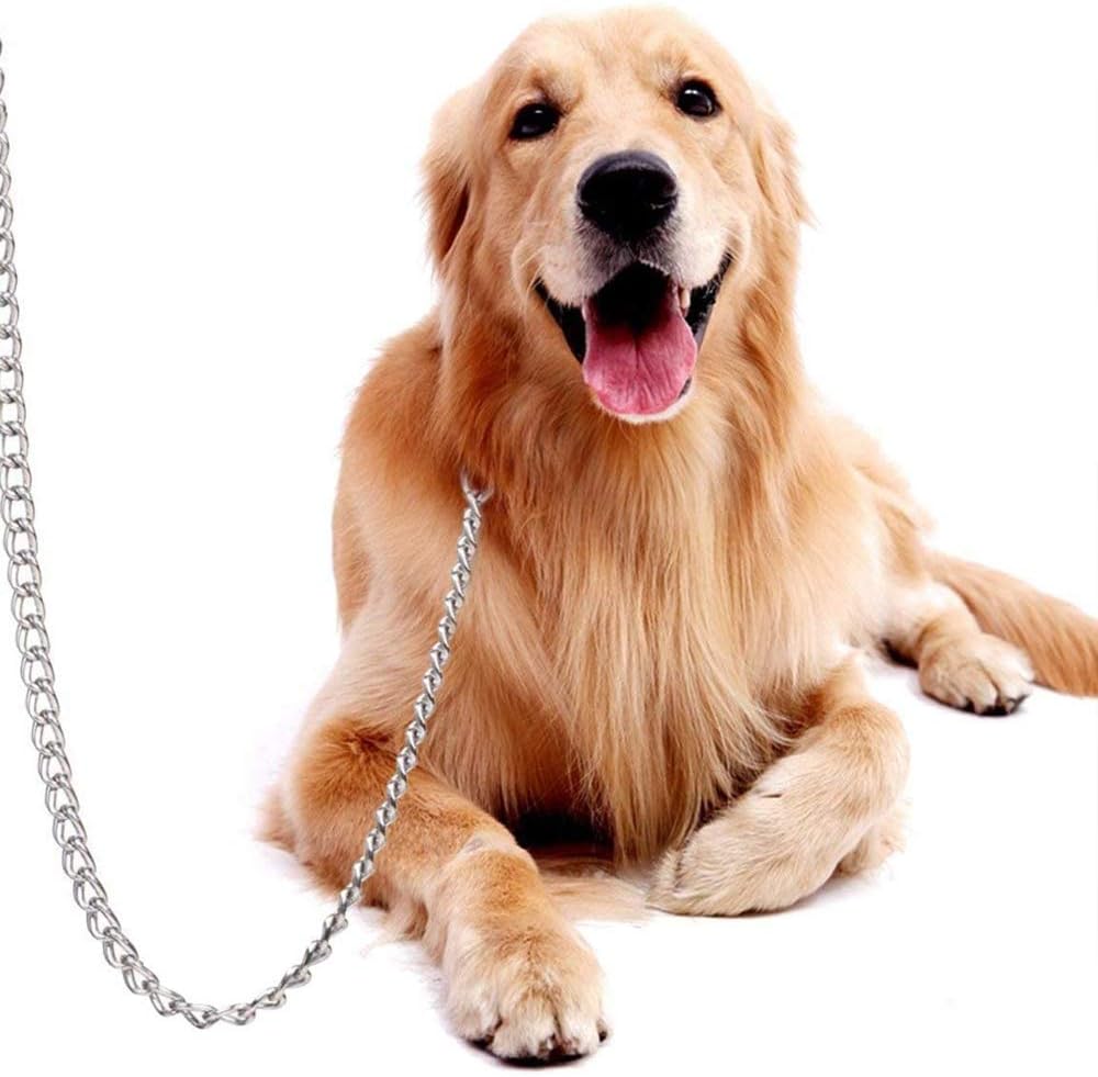 Correa estilo cadena de acero para perros