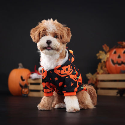 Abrigo calabaza de halloween para mascotas