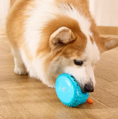 Juguete para perros de goma, limpieza dental