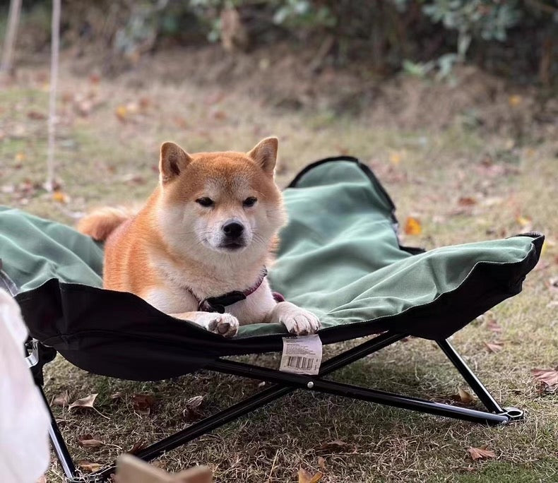 Cama elevada y portátil para perros pequeños y medianos