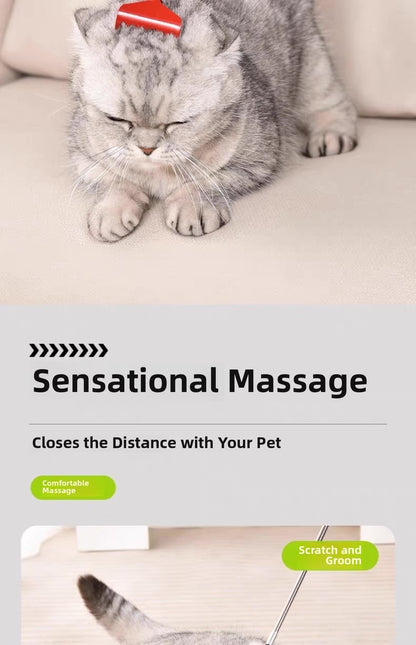 Masajeador para gatos