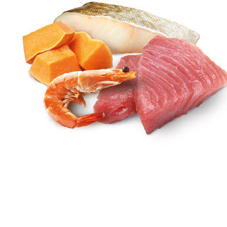 Comida Húmeda para Gato Farmina: N&D, Lata Ocean Tuna, Bacalao, Camarón y Calabaza Kitten 70gr