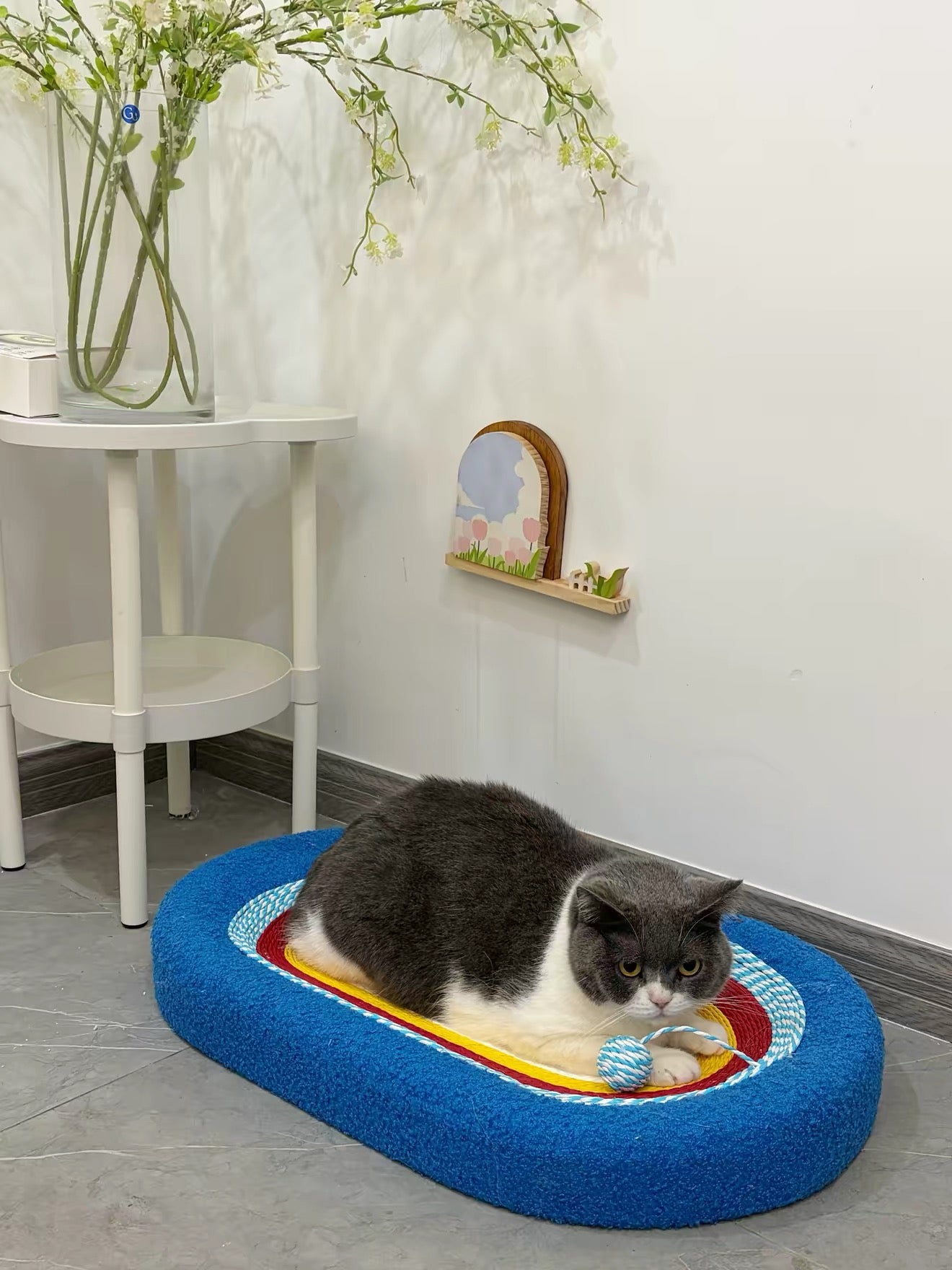 Rascador de cuerda para gatos espacial (Redondo y Ovalado)
