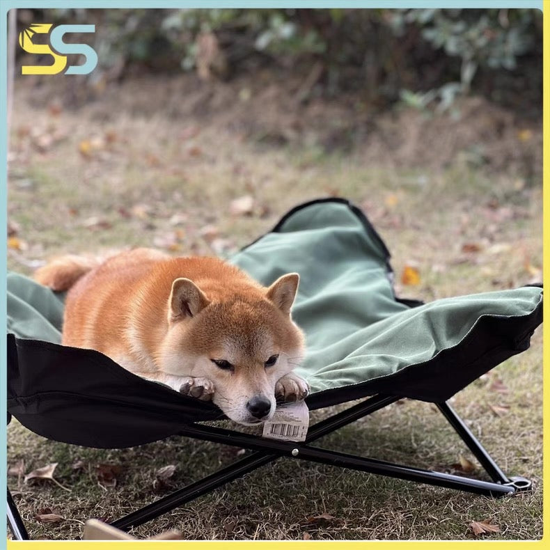 Cama elevada y portátil para perros pequeños y medianos