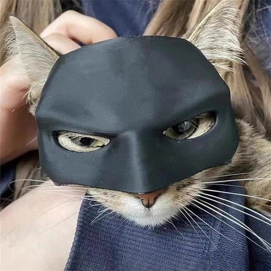 Máscara de batman para gatos