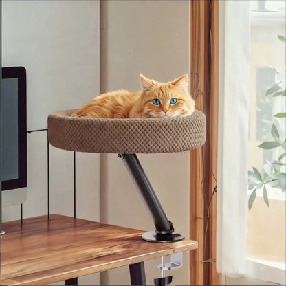 Cama de escritorio para gatos (360) Hasta 44lbs
