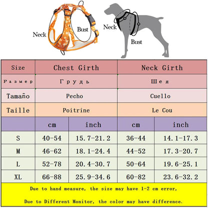 Pechera reflectante para perro grande y mediano con correa