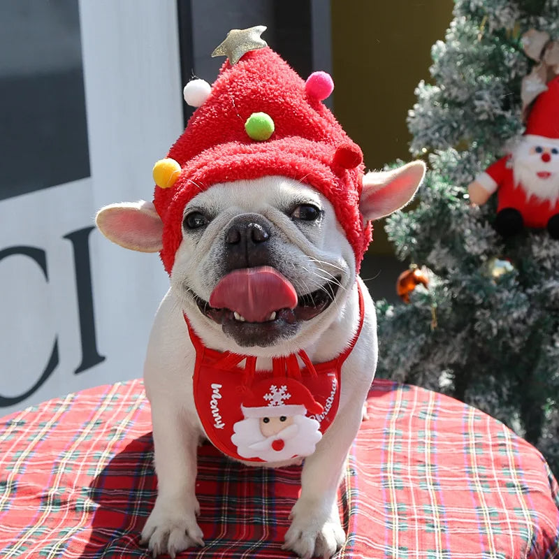 Gorro y Bufanda para Perros pequeños navideños