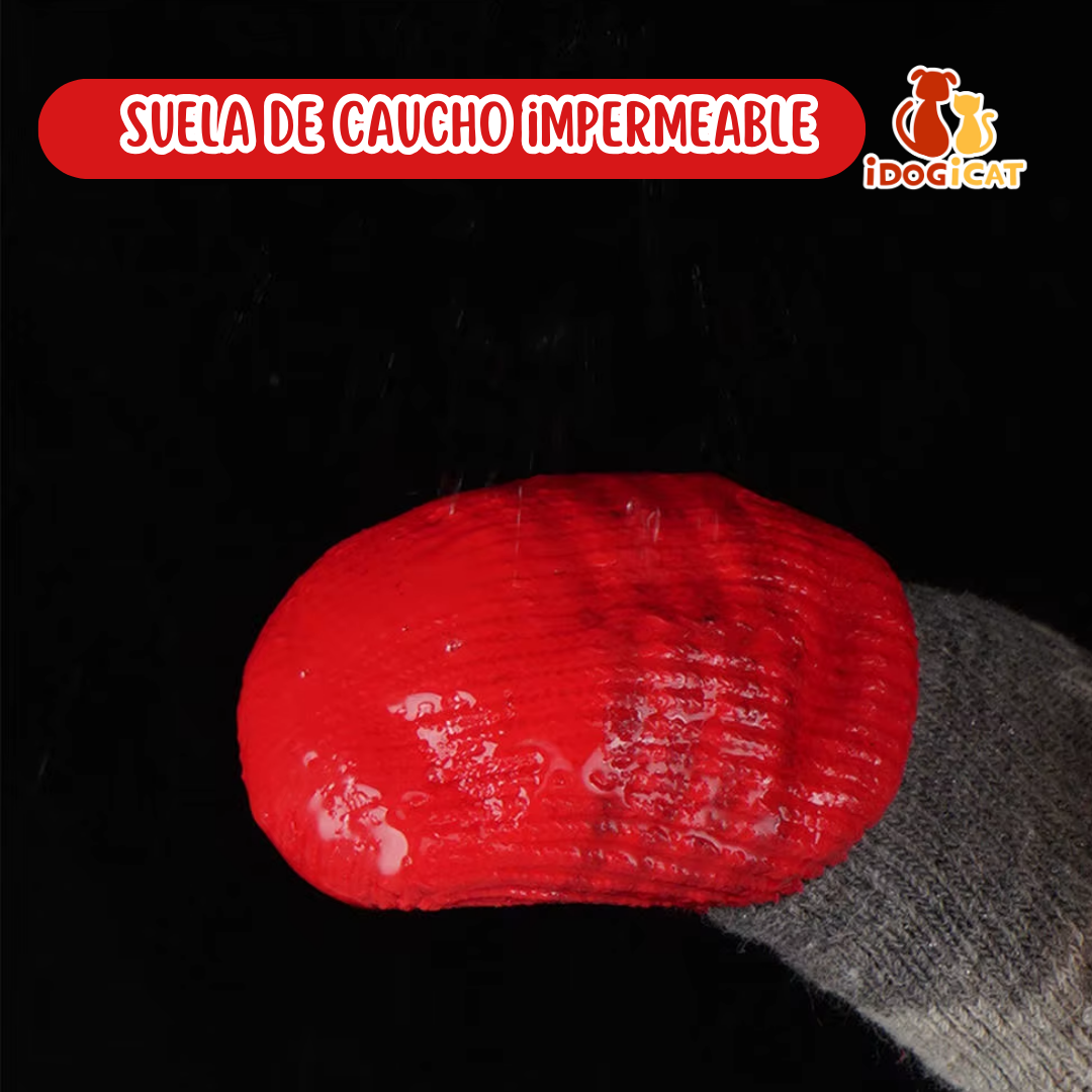 Medias impermeables para perros