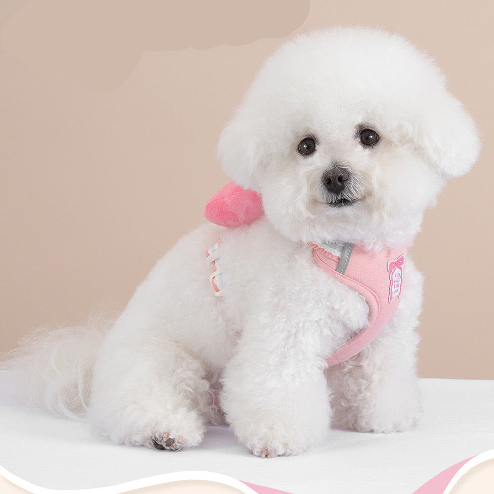 Pechera de lazo con correa para mascotas HAR05