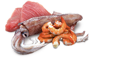 Comida Húmeda para Gato Farmina: N&D, Lata Ocean Atún calamar y camarón 70g