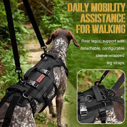 Soporte para perros en recuperación (Modelo 001)