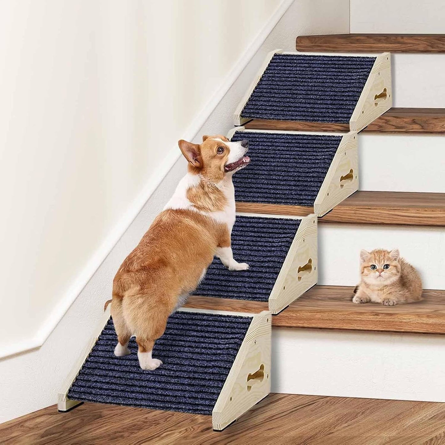 Rampa mini para mascotas (12 cm de alto) 1un
