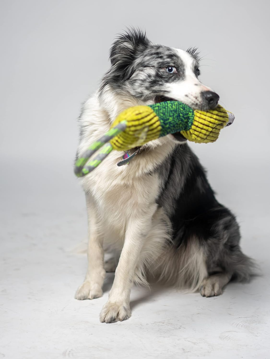 Juguete de perro de cuerda con relleno de felpa resistente a mordeduras