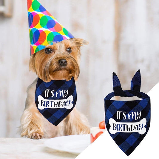 Bandana de Cumpleaños (Modelo #4)