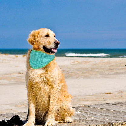 Bandana enfriante para perros