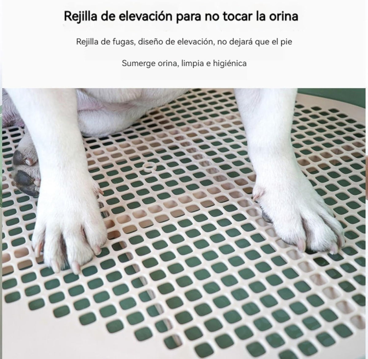 Inodoro para perros pequeños o cachorros modelo FT20 gris