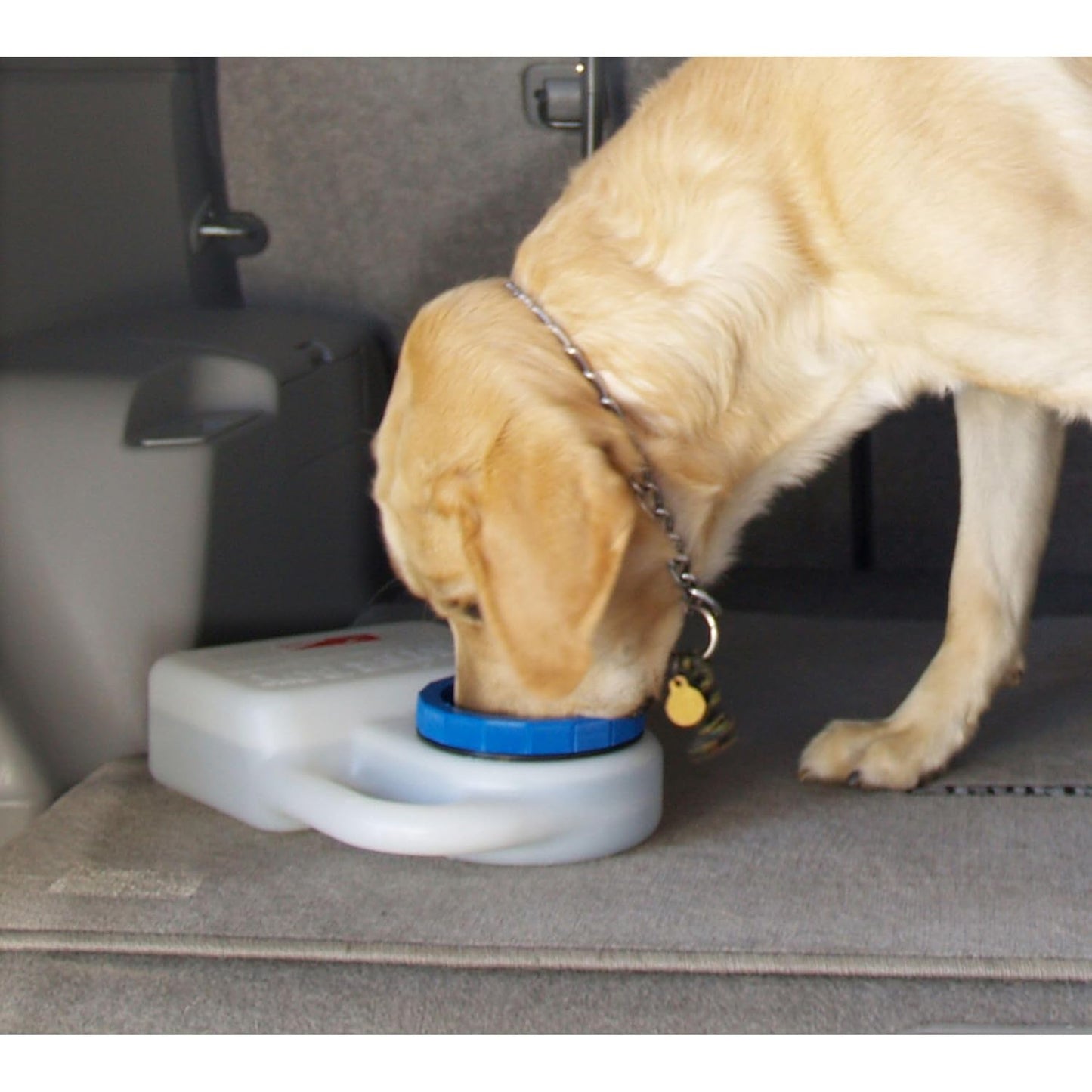 Bebedero portátil para mascotas, ideal para autos, autocaravanas y viajes