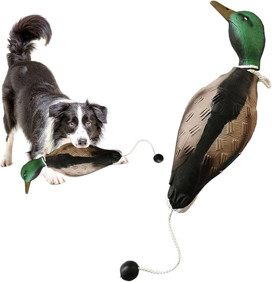 Juguete de señuelo de pato para perros