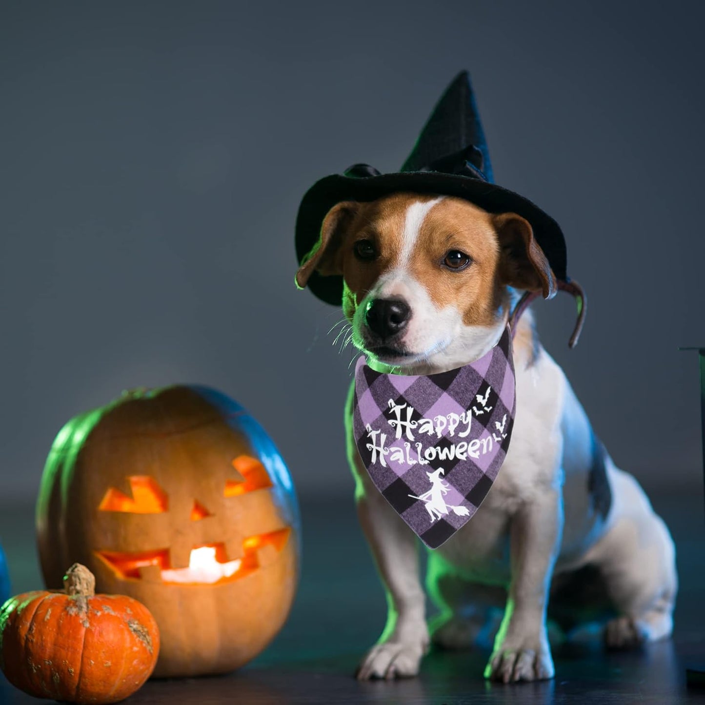 Bandanas para Halloween