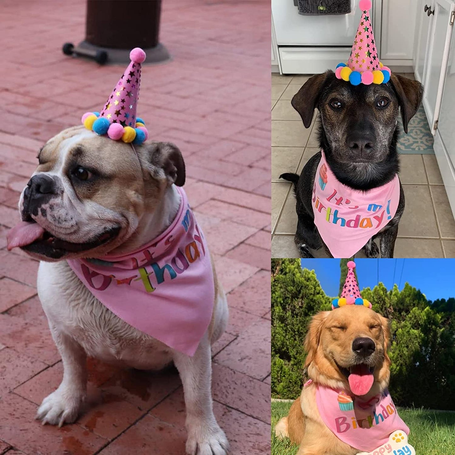 Sombrero de cumpleaños para mascotas