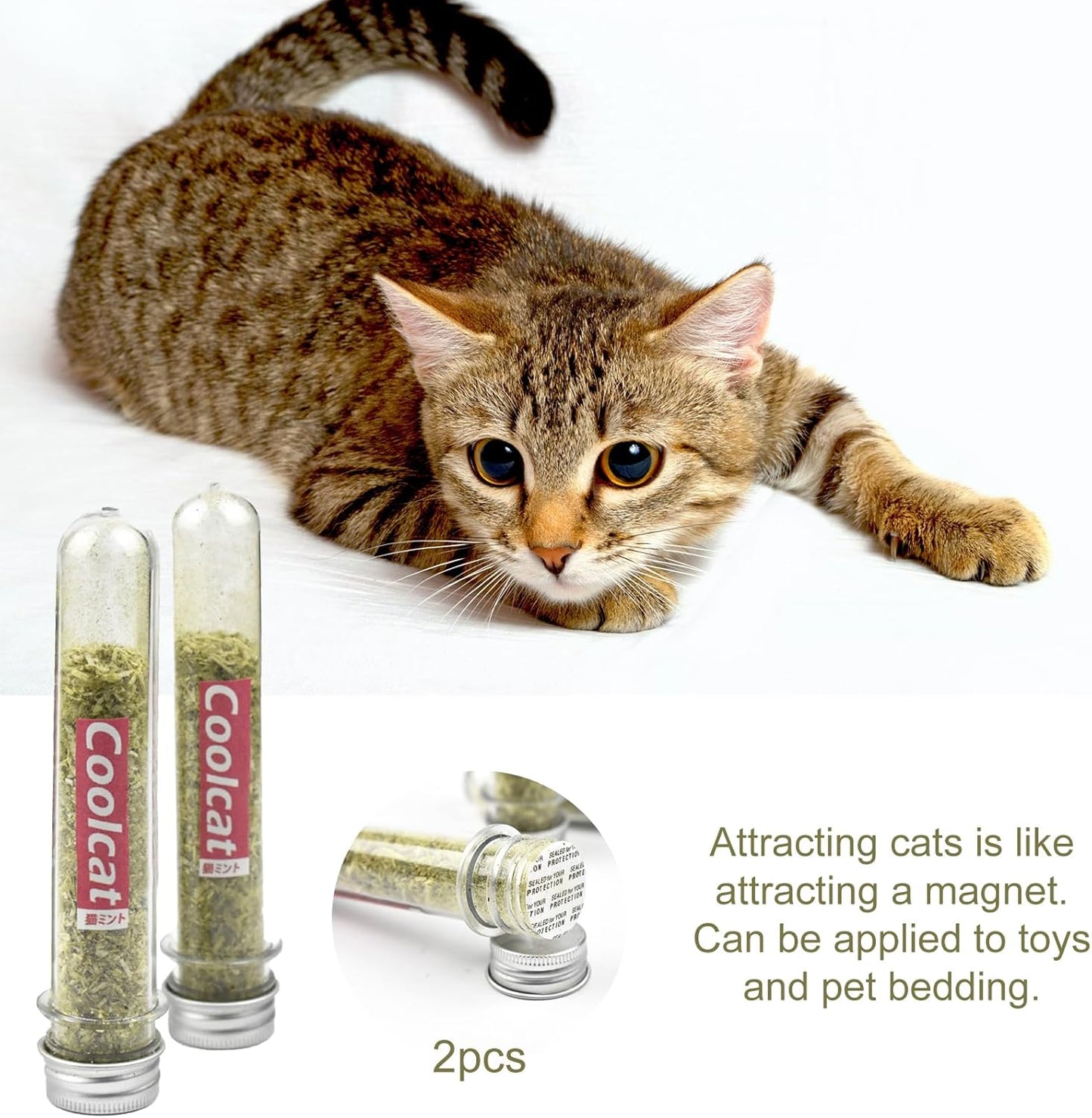 Catnip en polvo coolcat para gatos 45ml